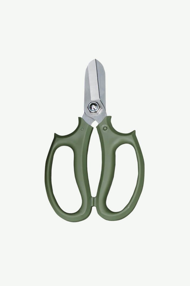 plants ecommerce accessories product featured img 4 plants ecommerce accessories product featured img 4
